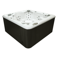 Спа бассейн Coyote Spa Maricopa