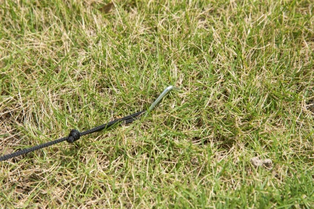 Bestway 58460 BW Шатёр для СПА бассейнов, 390х390х255 см